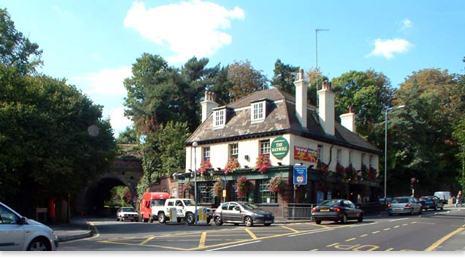 Orpington 